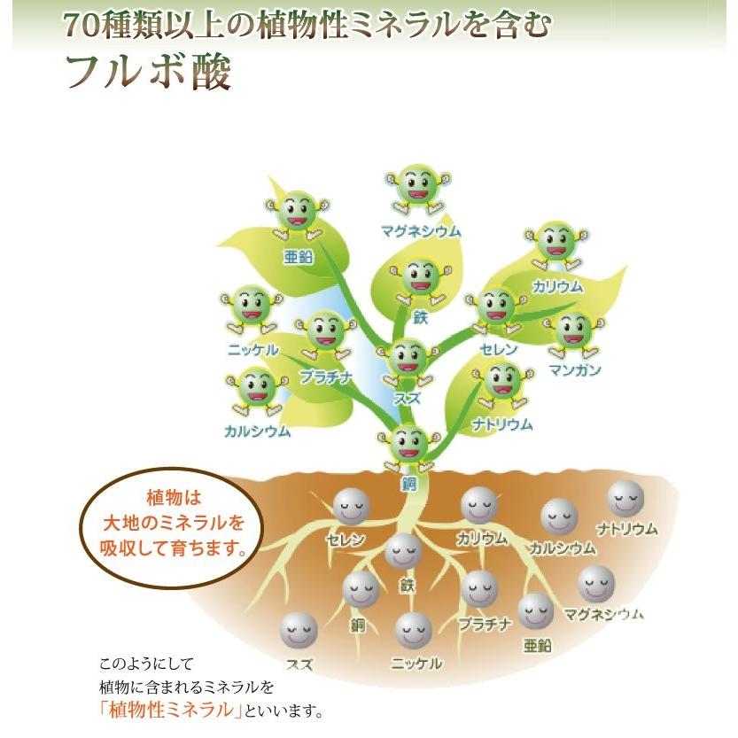 【クーポン】ライフバランス フルボ酸原液 1000ml [植物性ミネラル フルボ酸 オーガニック 無添加 天然成分 サプリメント 健康食品 キレート作用] |  | 01