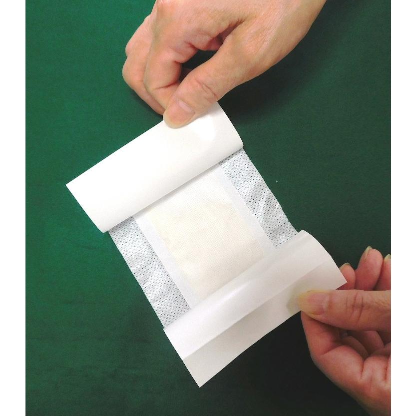 温感体験樹液シート 足湯気分 ほっとりずむ（新ジャスパー） |  | 03