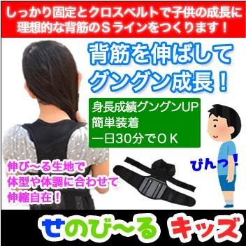 せのび〜る キッズ [5〜13歳対象 子供 姿勢矯正 ベルト 猫背ベルト