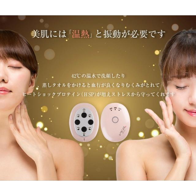 温熱美顔器 V℃R（ヴィドシーアール） : クローバープレイン - 通販