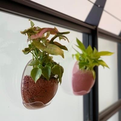 URBZ(アーブス) 壁に貼るプランター クリア/ホワイト/グリーン/ピンク