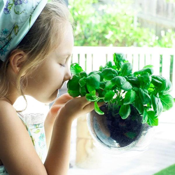 URBZ(アーブス) 壁に貼るプランター クリア/ホワイト/グリーン/ピンク