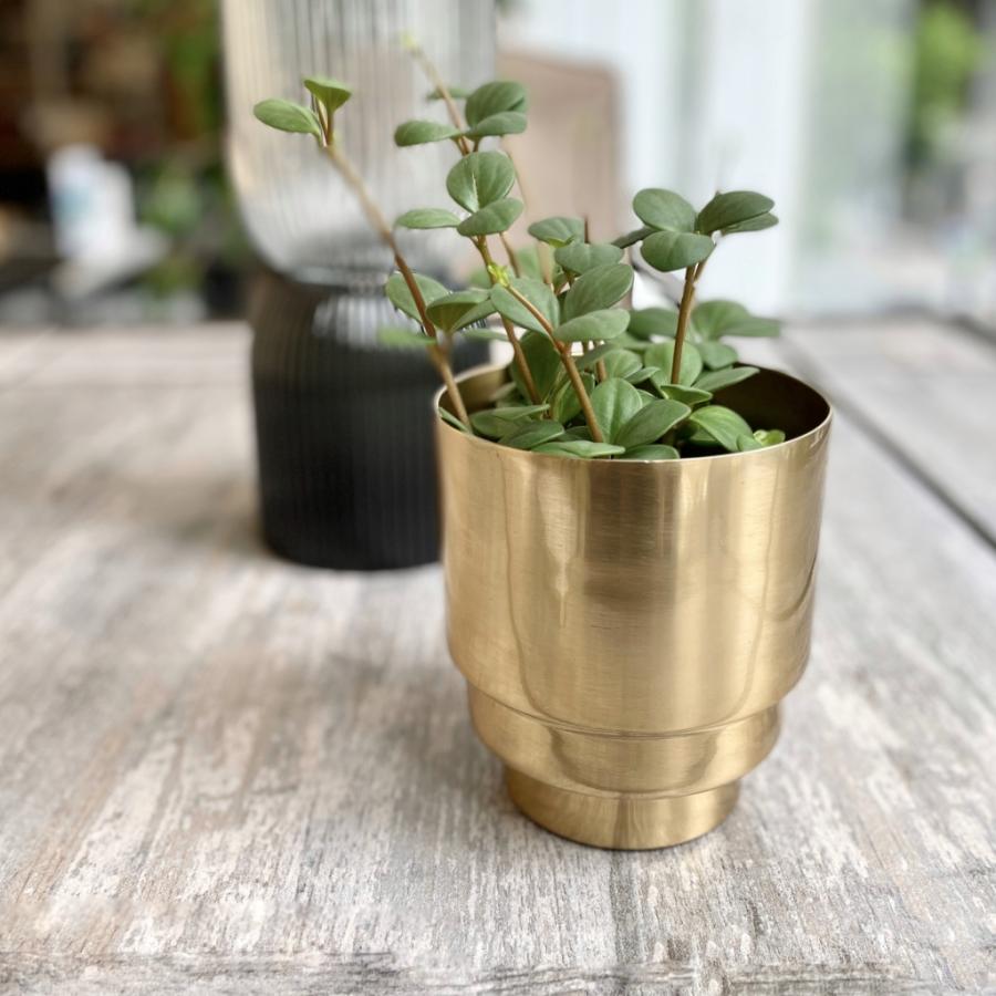 Clover クローバー アルミプランター ゴールド F11 鉢カバー 鉢 プランターカバー ゴールド 植木鉢カバー 観葉植物 室内 植物 Upstairs Outdoor Living 通販 Yahoo ショッピング