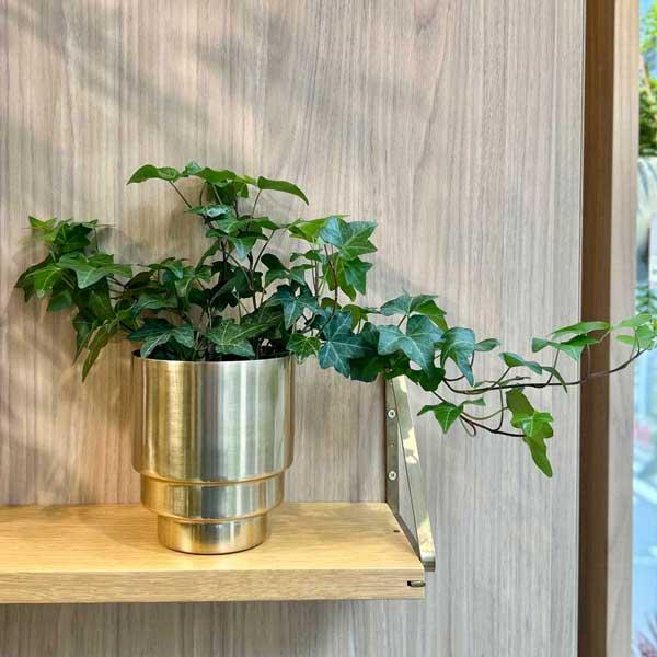 CLOVER（家具、インテリア） CLOVER(クローバー) アルミ