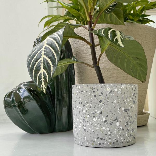 フラワーベース　花瓶　鉢　プランター　ファットラバ　ブルーミングヴィル　ポット Bloomingville(ブルーミングヴィル) コンクリートフラワーポット D14