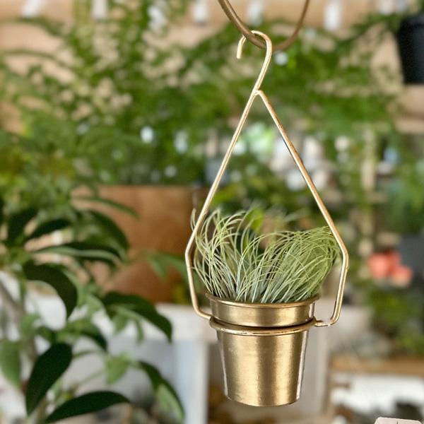 パーツ Clover NEW 2000 - 2005 GENUINE OEM KAWASAKI NINJA ZX-12R CLUTCH