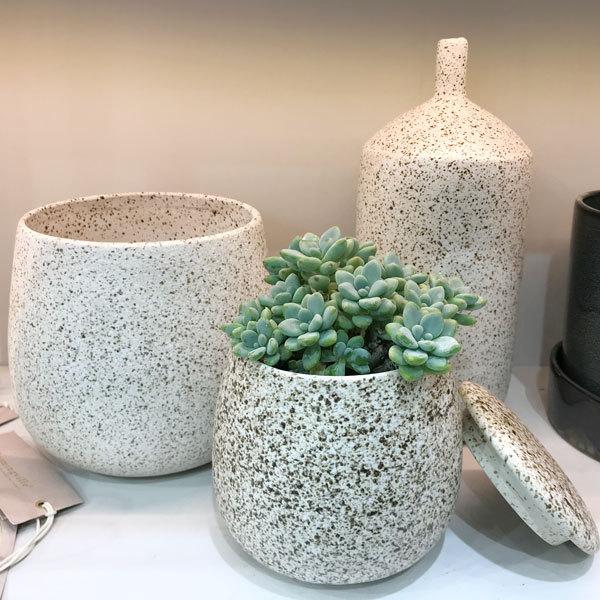 D&M D&M(ディーアンドエム) アルーラポット 蓋付 ナチュラル Ф13×H12cm