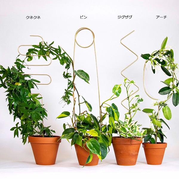 Botanopia ボタノピア 植物用くい ゴールデン アーチ 1個 植物支柱 おしゃれ支柱 植物サポート アルミ支柱 ガーデニング用品 海外雑貨 Upstairs Outdoor Living 通販 Yahoo ショッピング