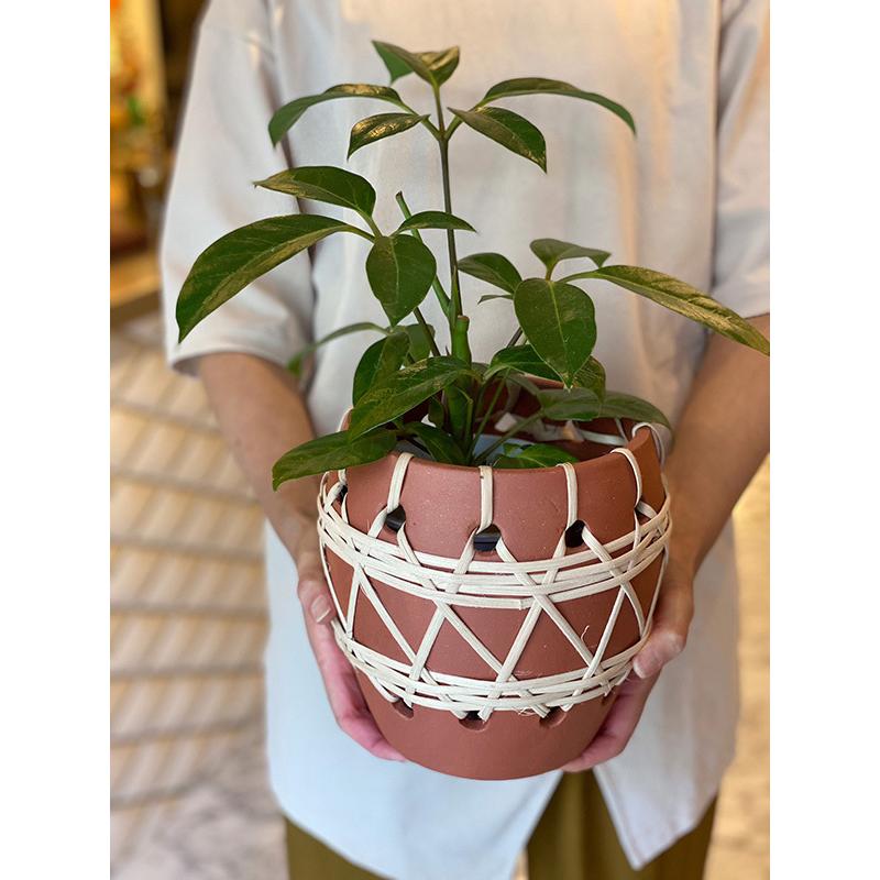 bloomingville ブルーミングヴィル サボテン 3個 陶器 N0090