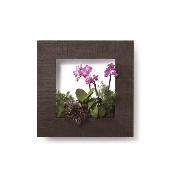 100 の保証 Pianta Stanza ピアンタスタンツァ マイギャラリー M フラワー ホワイトウッド チーク クリア エボニー 本店は Darcon Securityshops Com Co