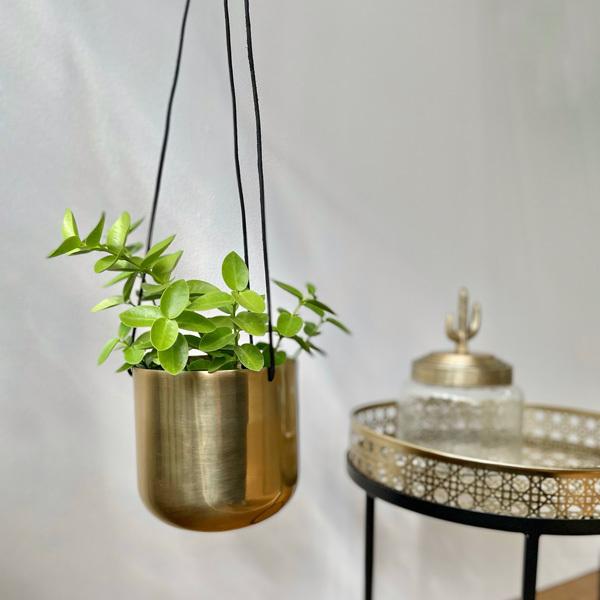 Clover クローバー アルミハンギングプランター F9 H35cm ゴールド 2トーン 鉢カバー 鉢 ハンキングプランター 吊り下げ 観葉植物 Upstairs Outdoor Living 通販 Yahoo ショッピング