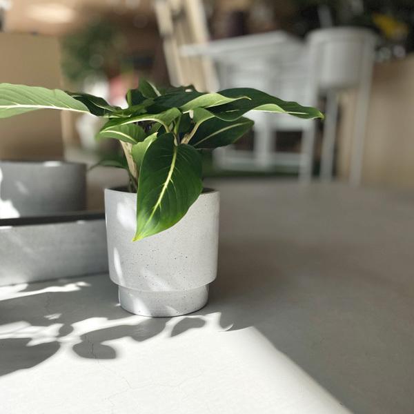 Affari(アファリ) ラケルポット Φ30×H35 ライトグレー 9号 鉢カバー プランターカバー ポット 観葉植物 室内 屋内 おしゃれ 鉢カバー プランターカバー おしゃれ