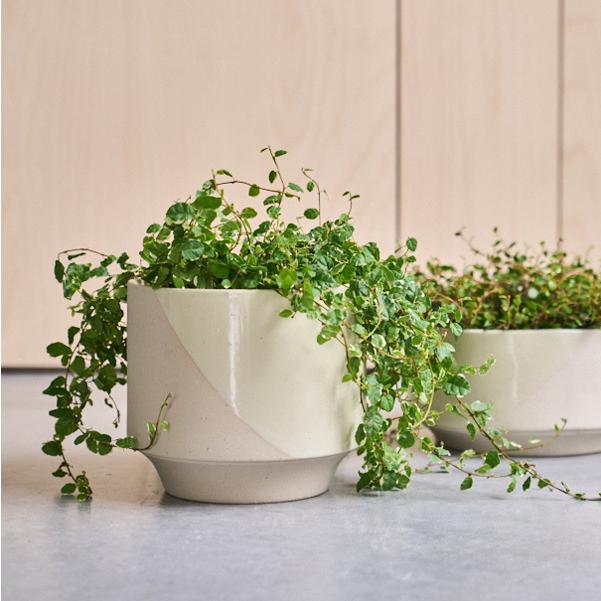 D&M D&M(ディーアンドエム) タイドポット Ф23 ブロンズ/クリーム 7号