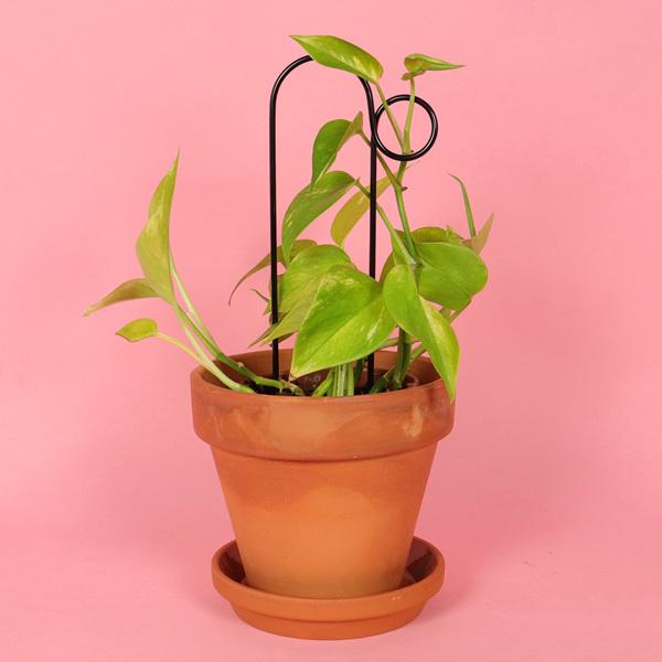 Botanopia ボタノピア 植物用くい ミニ バンプ 1個 ゴールデン ブラック 植物支柱 おしゃれ支柱 小さめ ガーデニング用品 海外雑貨 Upstairs Outdoor Living 通販 Yahoo ショッピング