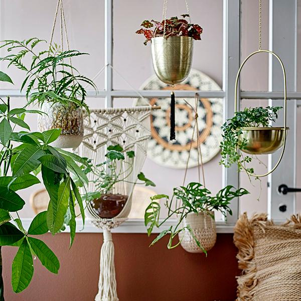 盆栽鉢 植木鉢 「瀬戸焼文山窯絵付鉢4点セット」 絵鉢 絵付鉢 3