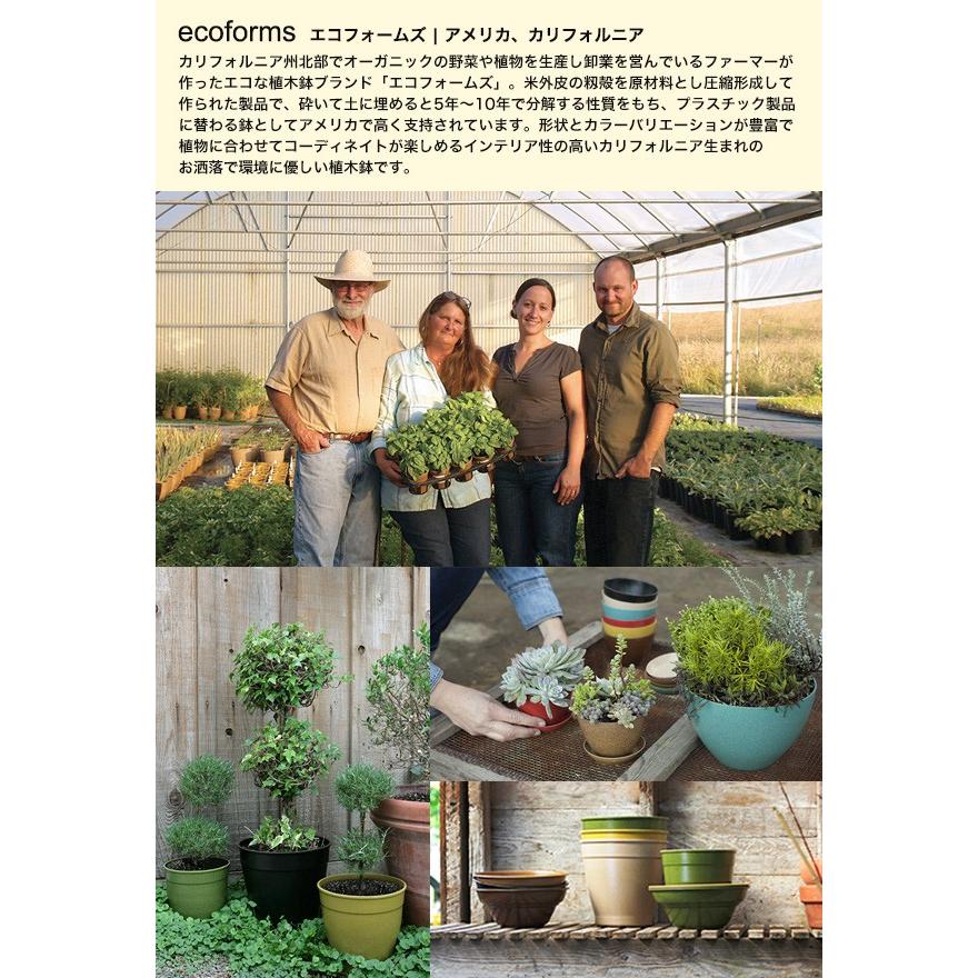 Ecoforms エコフォームズ Gp6a 植木鉢 Nova Series グロワーシリーズ 植木鉢 受け皿 S Upstairs Outdoor Living 通販 Yahoo ショッピング