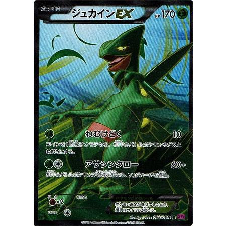 ジュカインEX SR PSA 10 アンリミ　082/081 ジュカインEX SR PSA 10 アンリミ 082/081 24時間以内発送