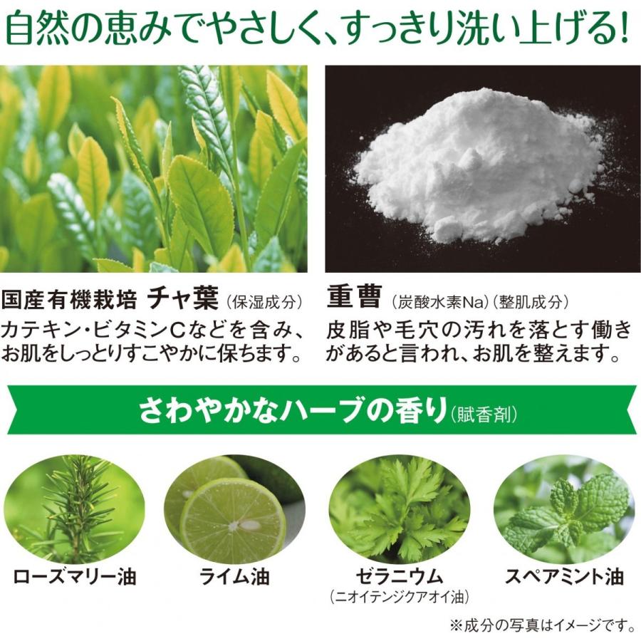クチャ石鹸 沖縄 毛穴の黒ずみをとる洗顔 洗顔料 旅行用 泡 毛穴 ニキビ 泡タイプ 酵素 クレイ「グリングラン 緑宝エステ ミニ 60g (泡立てネット付)」 pp|clueid|04