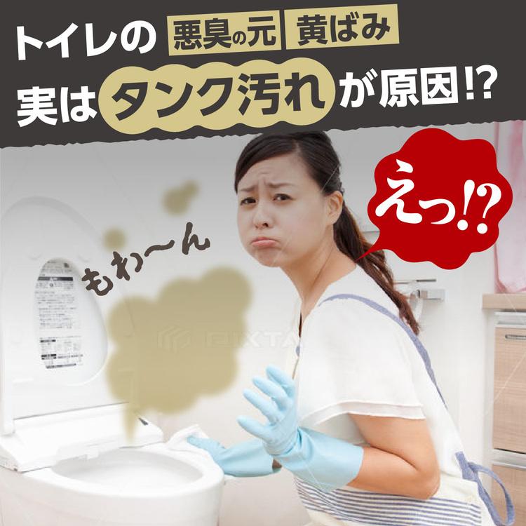 ⭐️タンク洗浄剤⭐️ トイレタンクの洗浄剤｜入れるだけ。見えないタンクを脱臭除菌 – 木村