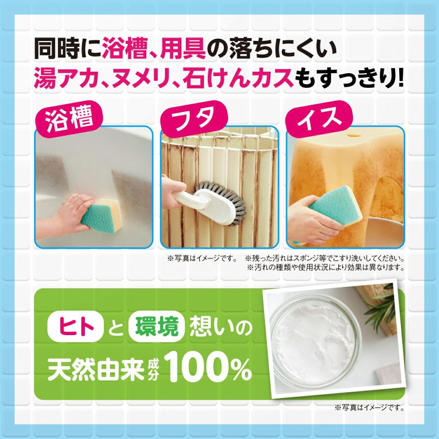 4個セット 風呂釜洗浄剤 二つ穴 一つ穴 お風呂掃除 洗剤「ボタニキャン