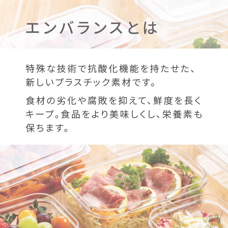 EMBALANCE 2個セット エンバランス 容器 味噌 効果 野菜保存容器