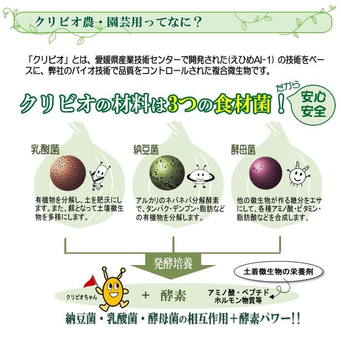 クリビオ　農園芸専用 10リットル　〜えひめAI-1をより使いやすく〜＜送料無料＞※但し北海道・沖縄の方は一律500円_2