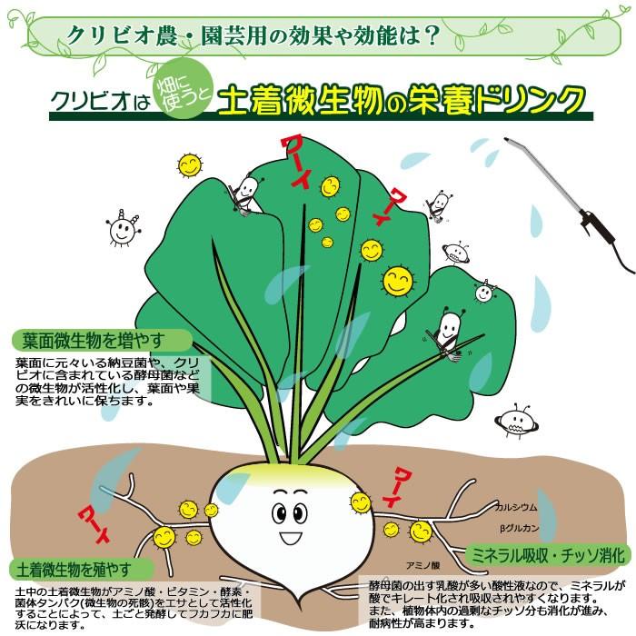 クリビオ　農園芸専用 10リットル　〜えひめAI-1をより使いやすく〜＜送料無料＞※但し北海道・沖縄の方は一律500円_3