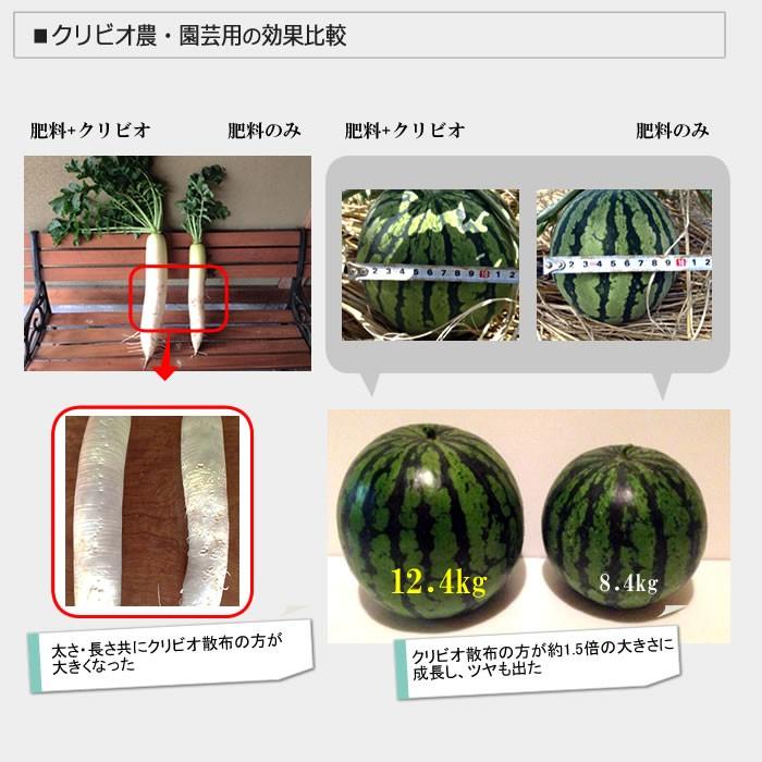 クリビオ　農園芸専用 10リットル　〜えひめAI-1をより使いやすく〜＜送料無料＞※但し北海道・沖縄の方は一律500円_4