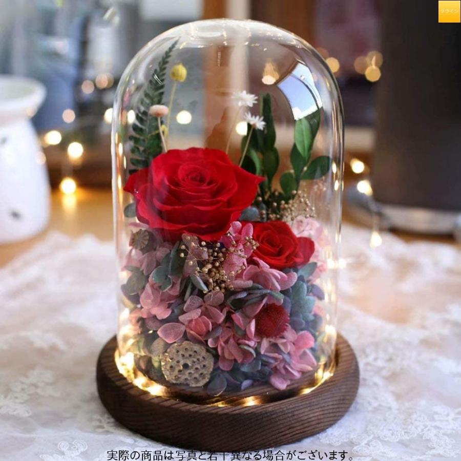 驚きの値段で プリザーブドフラワー ギフト バ ローズ ギフトボックス 手提げ袋 メッセージカード付き ドライフラワー Ledライト付き ガラスドーム 枯れない花 花瓶 花器 Binghamtonhots Com