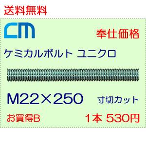 内祝い ケミカルボルト ユニクロ 1本 470円 31本セット 14 570円 全ネジ 寸切カットのみ M22 250 Nwなし ユニクロメッキ ケミカルアンカーボルト 人気の Karmagazine Net