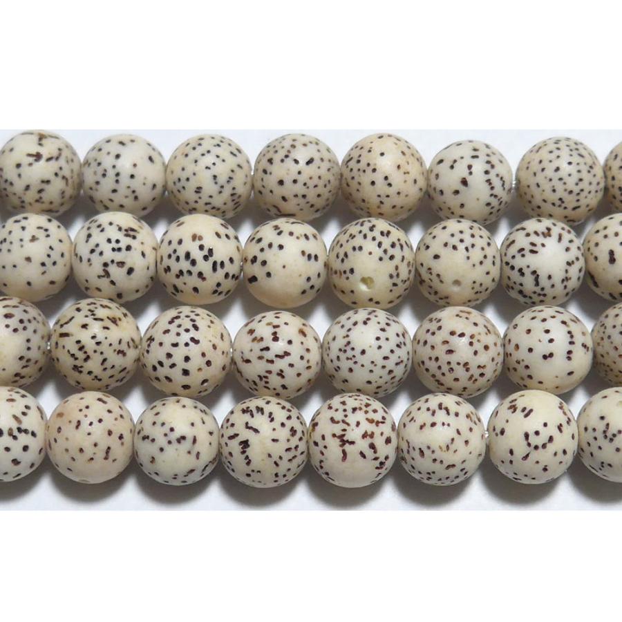 星月菩提樹 8mm B ※ ビーズ 1粒売り バラ売り 1玉販売 : Crescent 