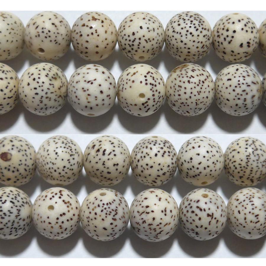 星月菩提樹 12mm B ※ ビーズ 1粒売り バラ売り 1玉販売 : Crescent 