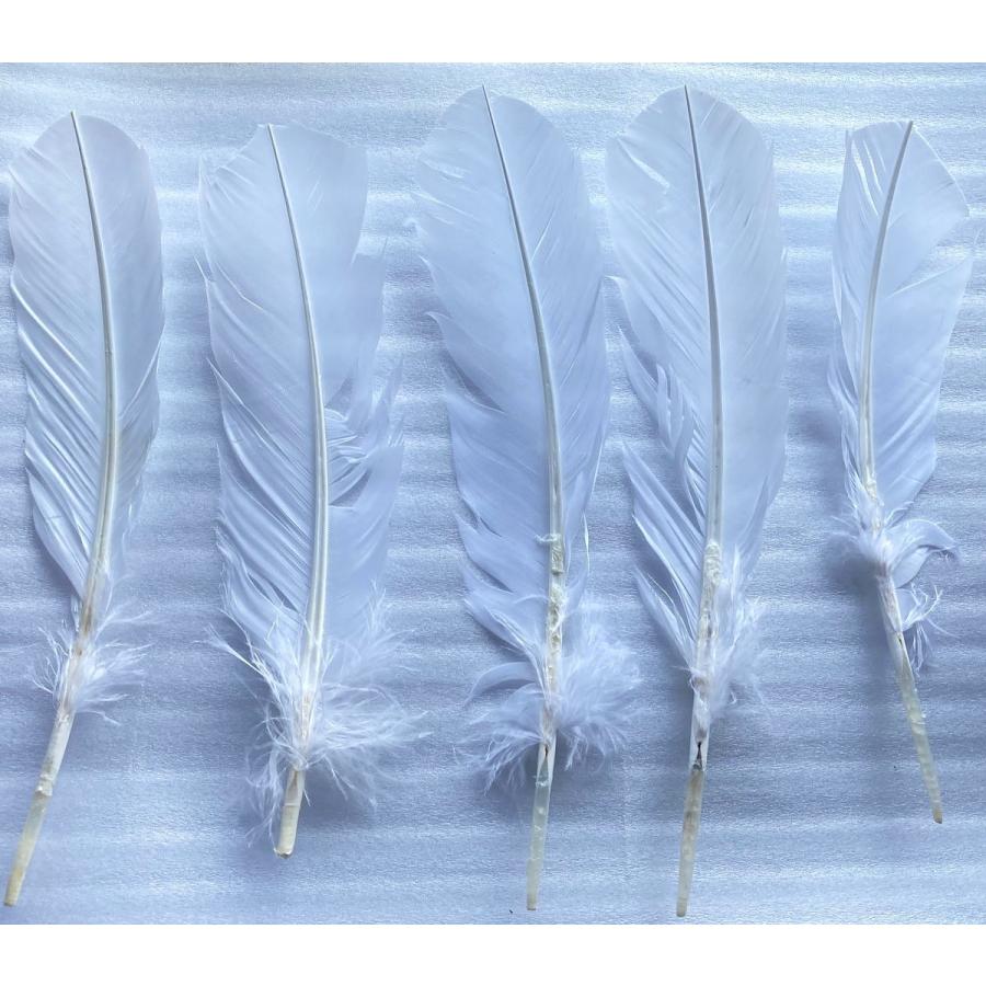 羽ペン 白 魔術用品 儀式用品 おまじないグッズ 占いなど Mgrfwhi Crescent Mirror 通販 Yahoo ショッピング