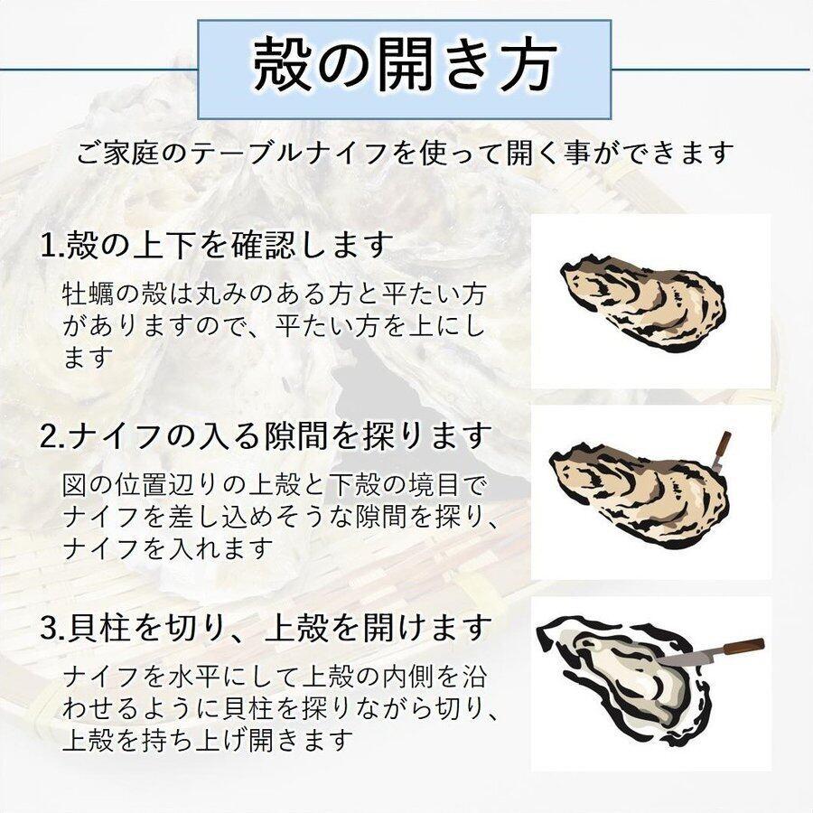 宮城県三陸・牡鹿半島産 加熱用 殻付き生牡蠣:一年子 ２kg /箱 産地直送 送料無料｜cmtdesign｜09