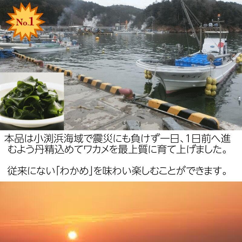 宮城・三陸小渕浜産「特上/湯通し塩蔵わかめ」150g /袋×3袋【産地直送】【送料無料】|cmtdesign|02