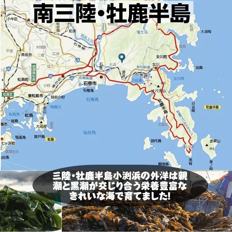 宮城・三陸小渕浜産「特上/湯通し塩蔵わかめ」150g /袋×3袋【産地直送】【送料無料】|cmtdesign|09