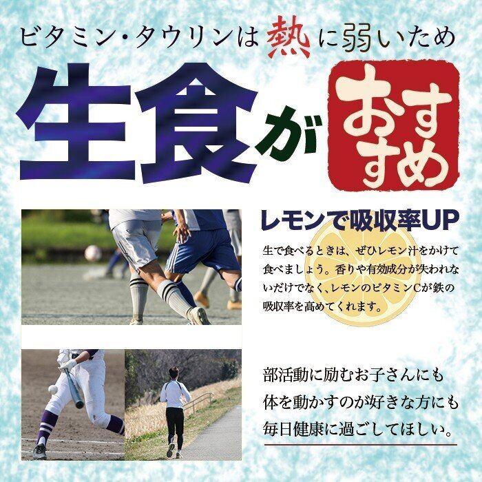 牡蠣 宮城県 三陸・牡鹿半島産 殻付き生牡蠣 無選別 ５kg /箱 産地直送 送料無料｜cmtdesign｜12