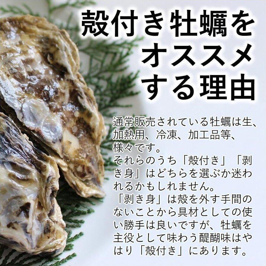 牡蠣 宮城県 三陸・牡鹿半島産 殻付き生牡蠣 無選別 ５kg /箱 産地直送 送料無料｜cmtdesign｜17