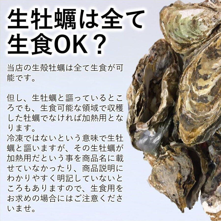 牡蠣 宮城県 三陸・牡鹿半島産 殻付き生牡蠣 無選別 ５kg /箱 産地直送 送料無料｜cmtdesign｜19