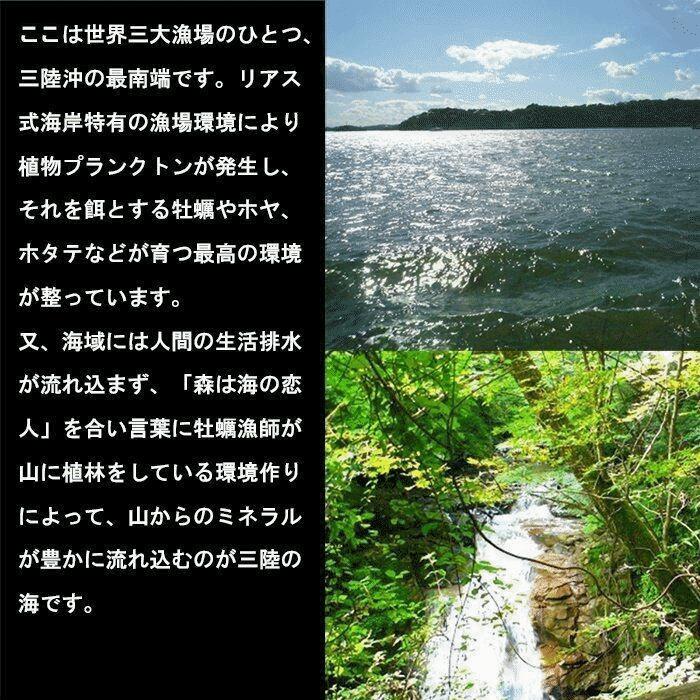 牡蠣 お試し用 宮城県 三陸・牡鹿半島産 殻付き生食用牡蠣 無選別 １kg /箱 産地直送 送料無料 |  | 01