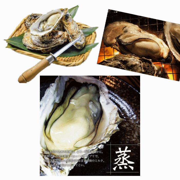 牡蠣 お試し用 宮城県 三陸・牡鹿半島産 殻付き生食用牡蠣 無選別 １kg /箱 産地直送 送料無料 |  | 08