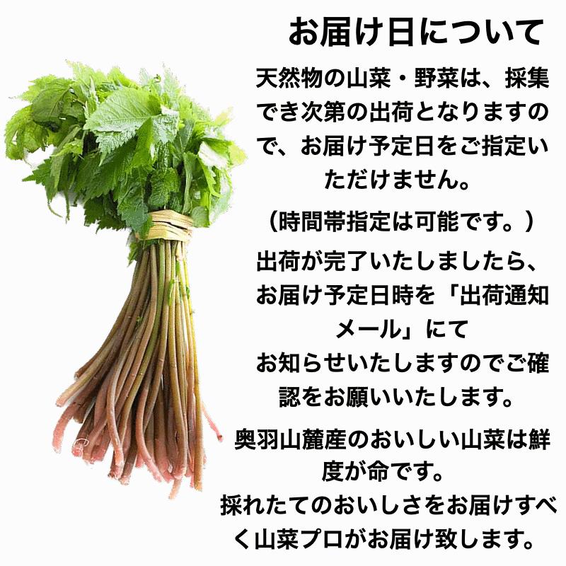 天然山菜 完全予約販売 秋田県産天然みず ウワバミソウ ３Kg 産地直送 送料無料の画像