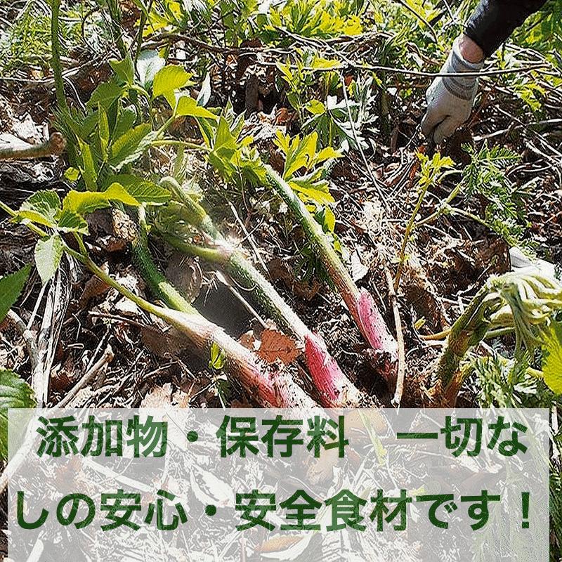 早期予約販売 天然山菜 天然山うど塩蔵/5Kｇ 自然の恵み 山形県飯豊連峰便 送料無料の画像