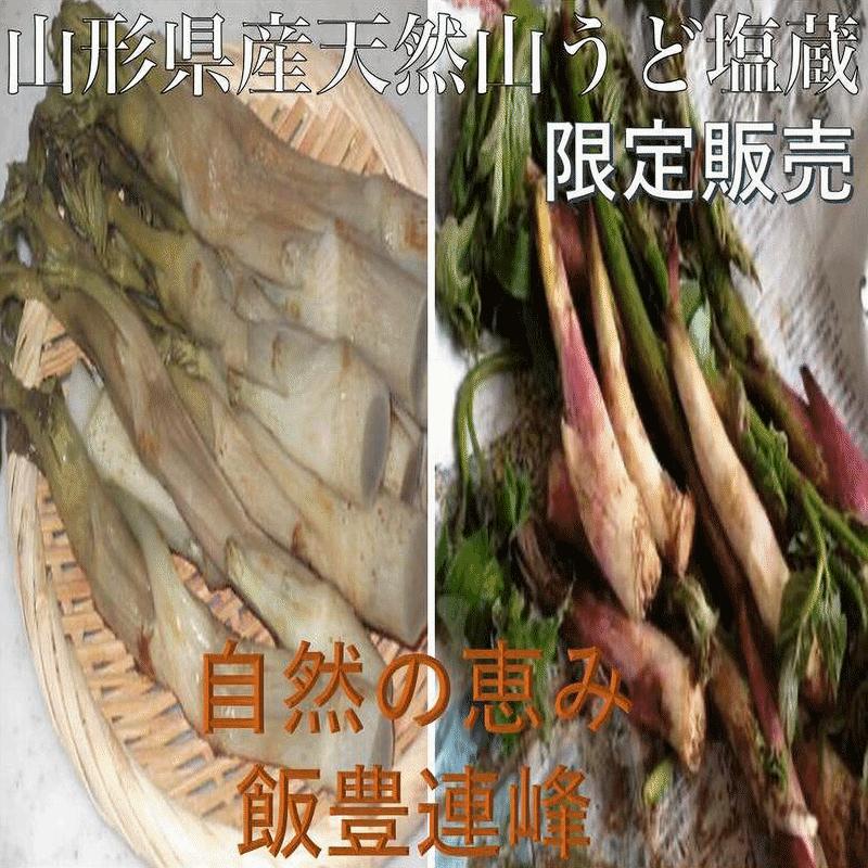 早期予約販売 天然山菜 天然山うど塩蔵/5Kｇ 自然の恵み 山形県飯豊連峰便 送料無料の画像