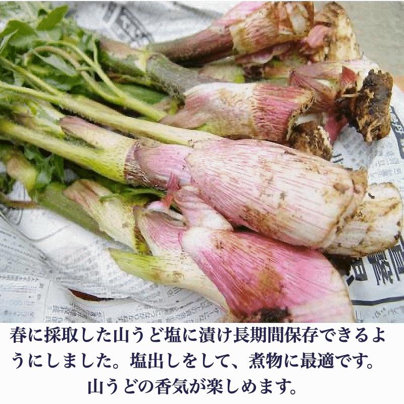 早期予約販売 天然山菜 天然山うど塩蔵/5Kｇ 自然の恵み 山形県飯豊連峰便 送料無料の画像