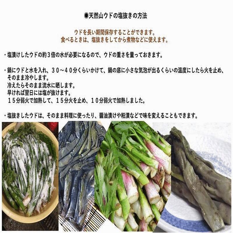 早期予約販売 天然山菜 天然山うど塩蔵/5Kｇ 自然の恵み 山形県飯豊連峰便 送料無料の画像