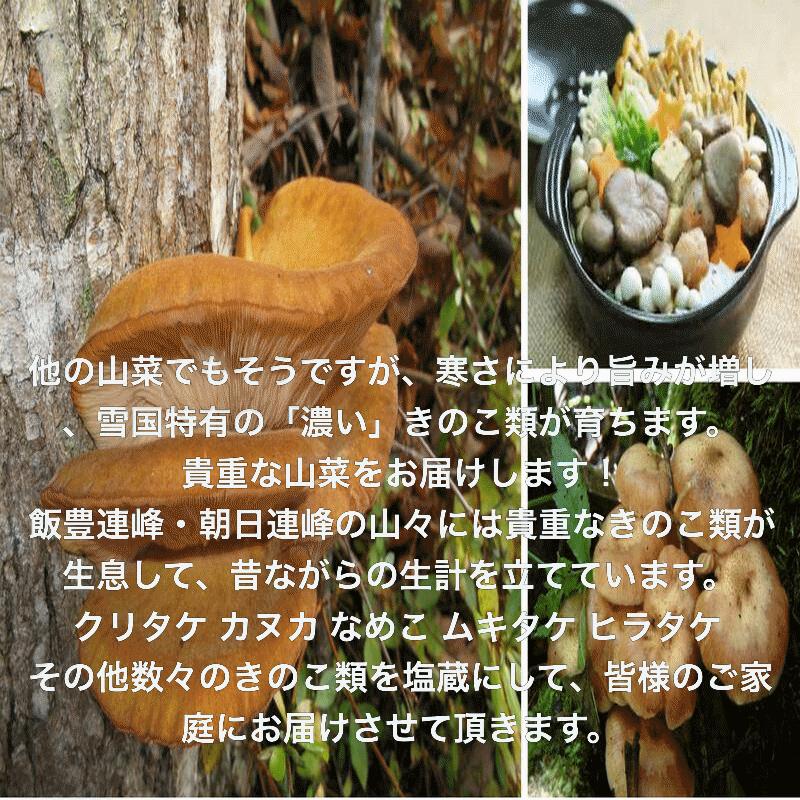 きのこ 予約販売 天然山菜 山形県産天然キノコ 混ざり塩蔵1kg 自然