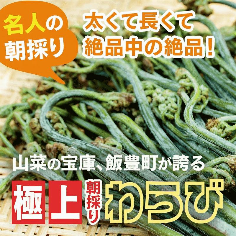 早期予約受付中 天然山菜 天然生わらび/5Kｇ 自然の恵み 限定予約販売 送料無料の画像