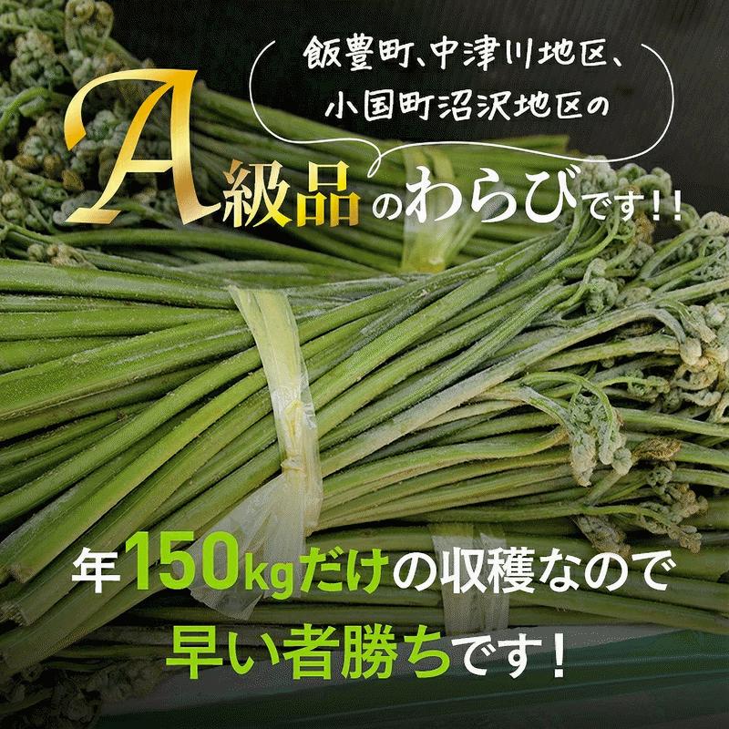 早期予約受付中 天然山菜 天然生わらび/5Kｇ 自然の恵み 限定予約販売 送料無料の画像