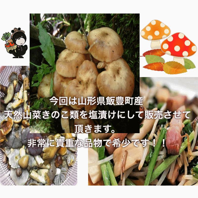 きのこ 予約販売 天然山菜 山形県産天然キノコ 混ざり塩蔵5Kg 自然の